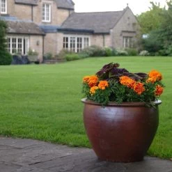 Garden Care Sale -Garden Care Sale 5021346360547 2