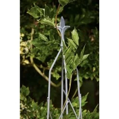 Tom Chambers 1.2m Grey Nostell Obelisk -Garden Care Sale 5022506026259 3