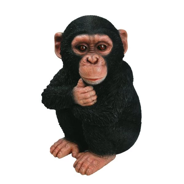 Vivid Arts 18cm Baby Chimpanzee - XRL-CHM2-F 1 Vivid Arts 18cm Baby Chimpanzee - XRL-CHM2-F