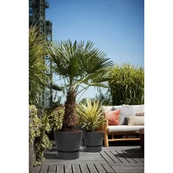 Elho 25cm Living Black Greenville Round Planter 9 Elho 25cm Living Black Greenville Round Planter -Garden Care Sale 8711904332334 5