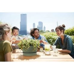 Elho 33cm Leaf Green Greenville Bowl Planter 9 Elho 33cm Leaf Green Greenville Bowl Planter -Garden Care Sale 8711904332464 5