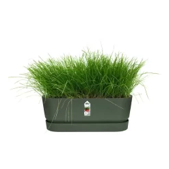 Elho 70cm Living Concrete Greenville Trough Long -Garden Care Sale 8711904357764 4